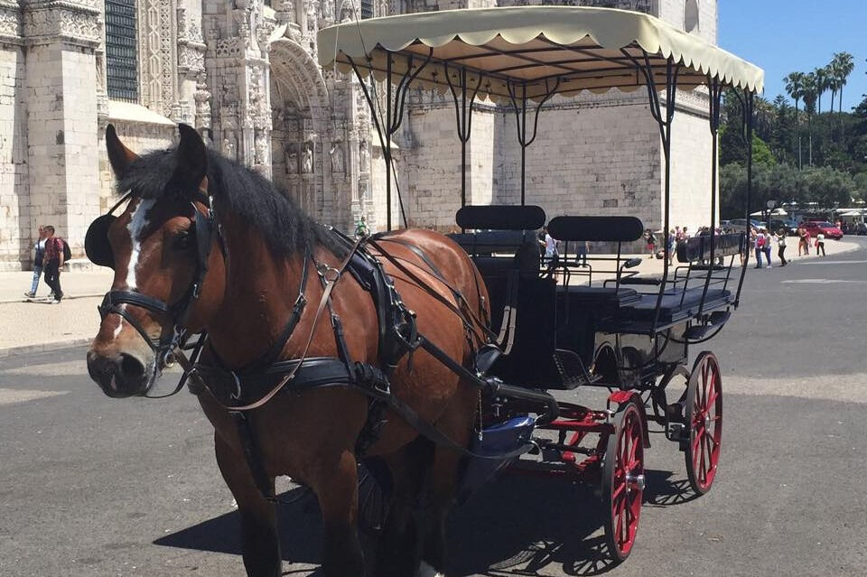 Belém: Passeio de Carro puxado por Cavalos