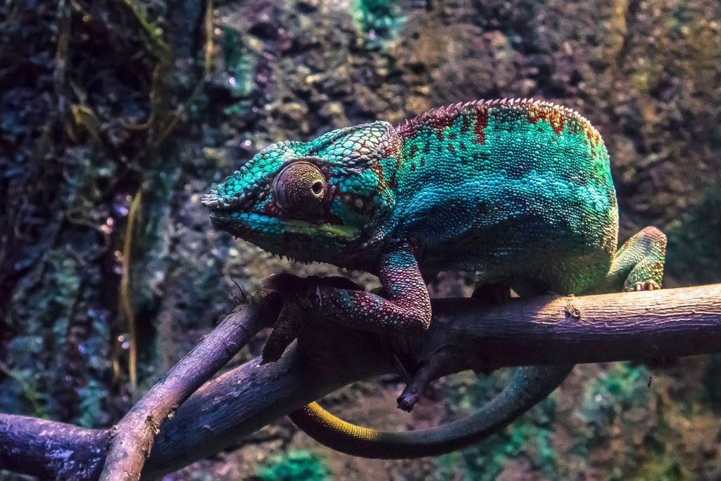 Acuario de Zaragoza