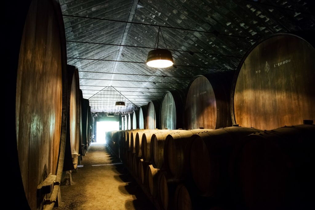 Porto: Passeio de meio dia de ônibus pela cidade com degustação de vinho do Porto + cruzeiro