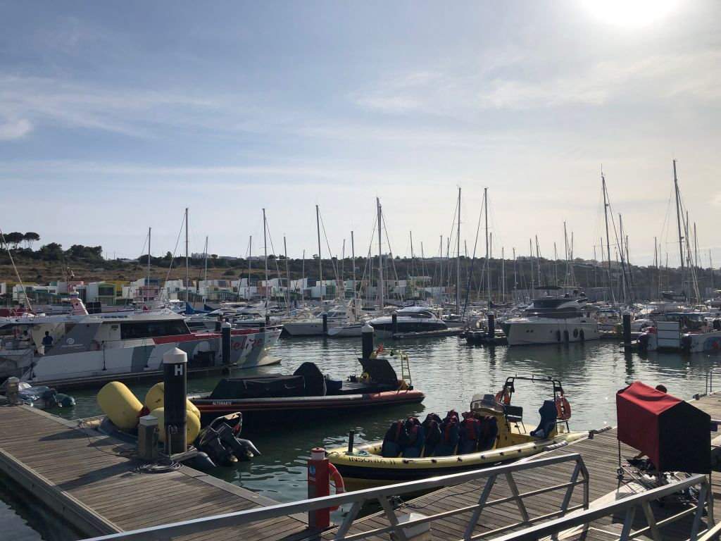 Tour in Barca Grotte e Avvistamento Delfini da Albufeira - Insónia (semirigida)