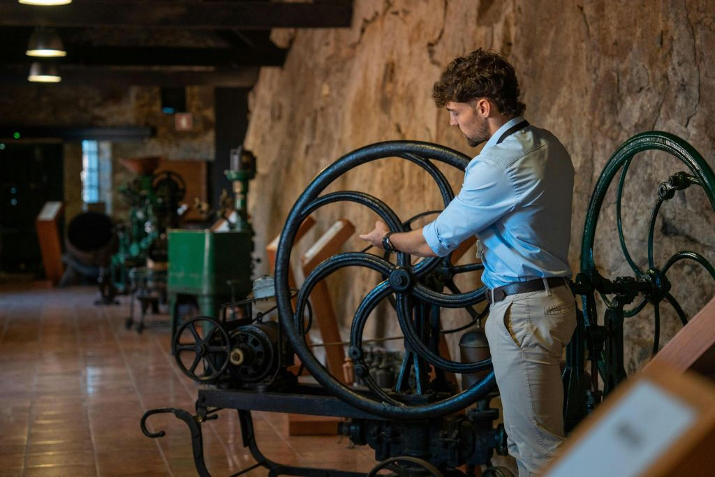 TukTuk a Oporto + Cantina con degustazione + Crociera