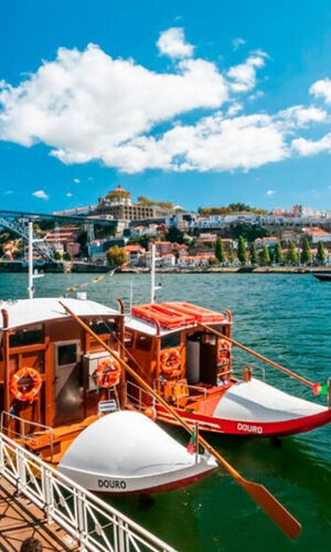 Porto : Visite de la ville en bus avec cave à vin, déjeuner et croisière