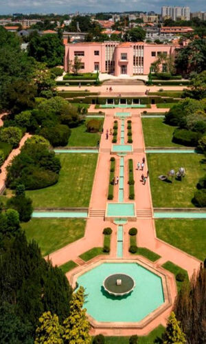 Parc de Serralves : Billet d'entrée et promenade dans les arbres