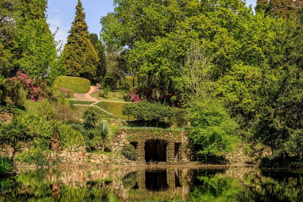 Serralves Park: Entry Ticket and Treetop Walk