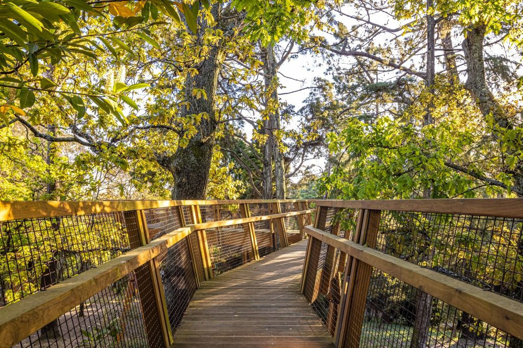 Serralves Park: Entry Ticket and Treetop Walk