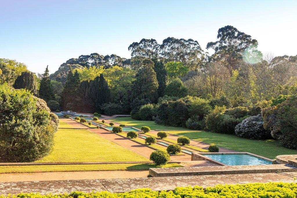 Serralves Park: Entry Ticket and Treetop Walk