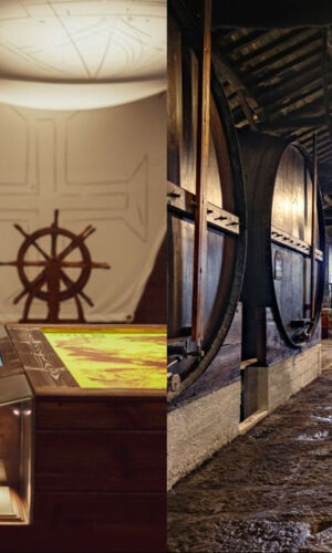 Cave Fonseca et Musée WOW : Billet d'entrée, visite + dégustation