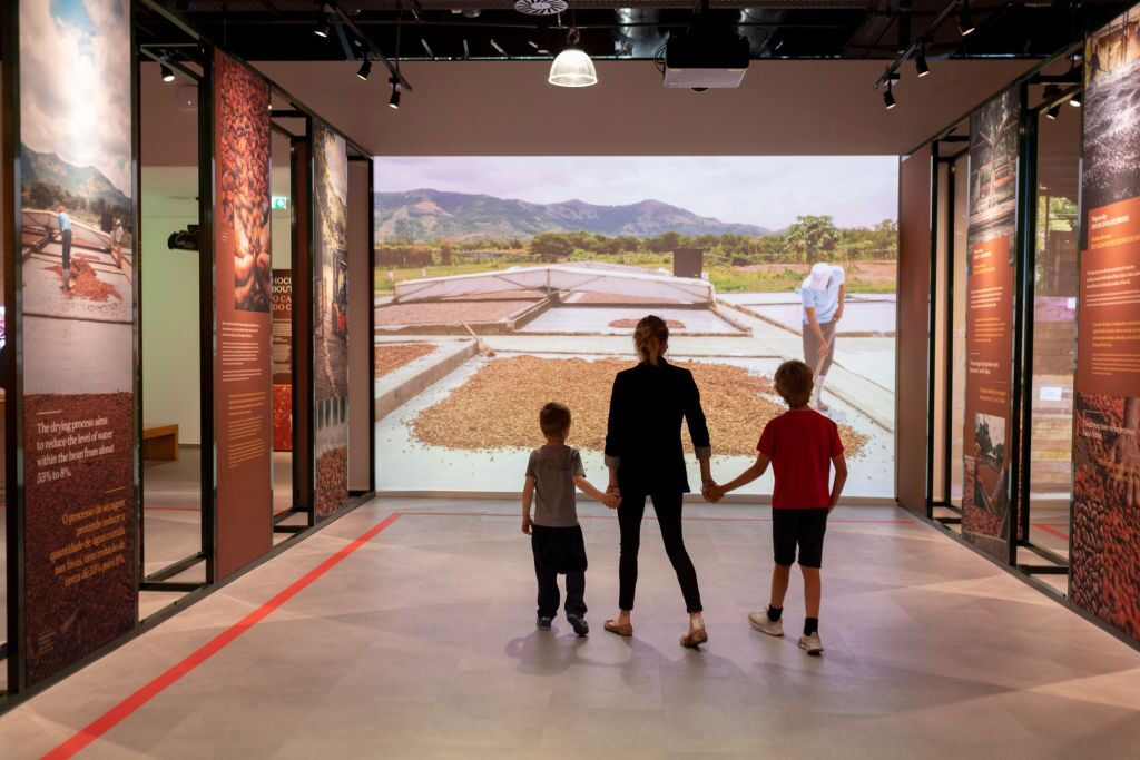 Fonseca Cellar & WOW Museum: Entry Ticket, Tour + Tasting