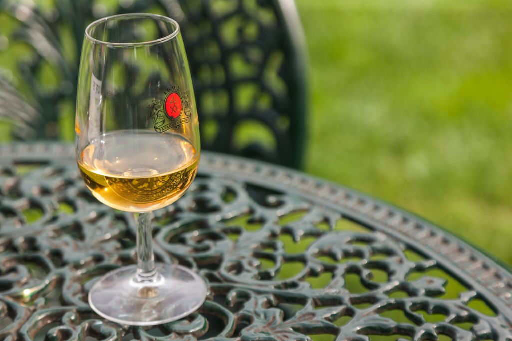 La Bodega de Taylor y La Experiencia del Vino: Visita + Cata