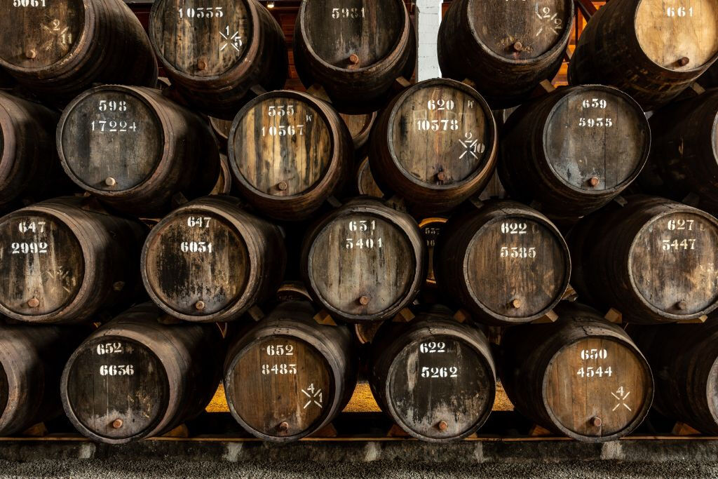 La Bodega de Taylor y La Experiencia del Vino: Visita + Cata