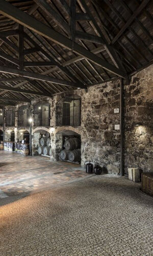 Dégustation de vin de Porto : Caves à vin Burmester