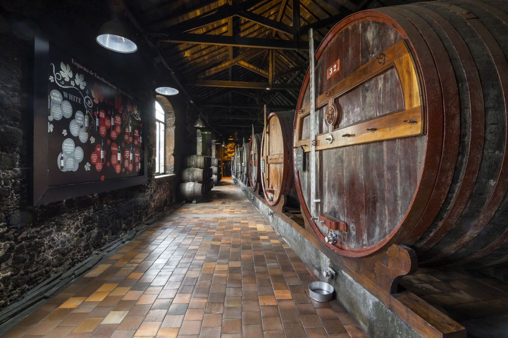Porto Degustazione Vini: Cantine Burmester