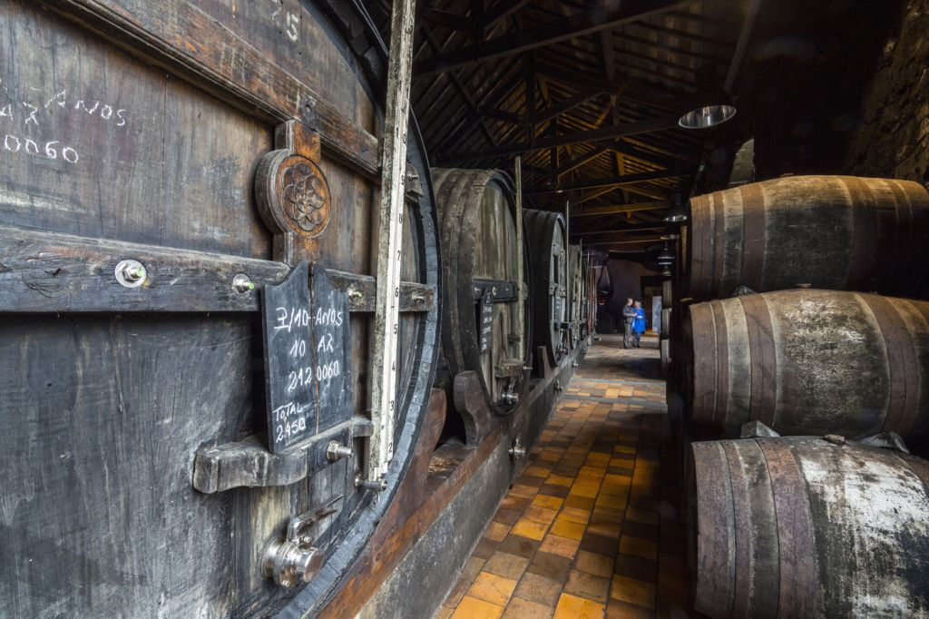 Porto Degustazione Vini: Cantine Burmester