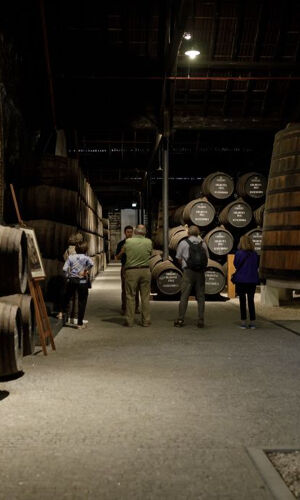 Graham's Port Lodge : Visite guidée et dégustation des essentiels du porto