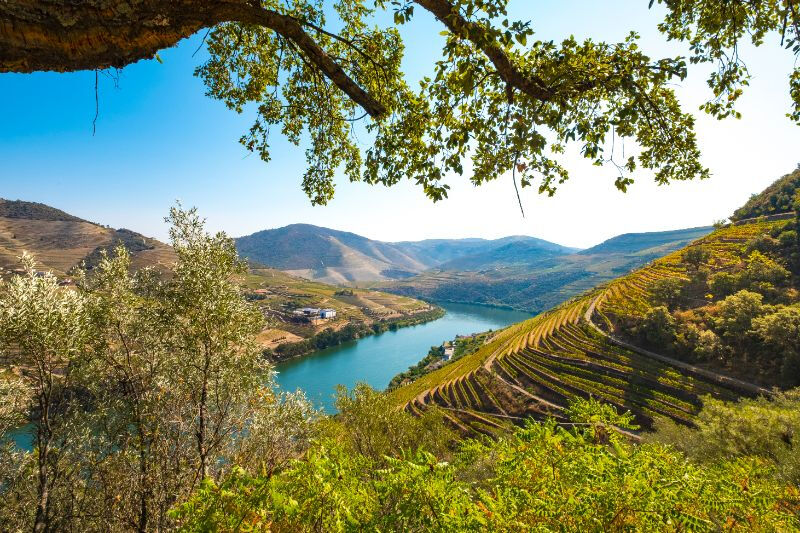 Vallée du Douro : Croisière de Porto à Pinhão avec repas et dégustation de vins