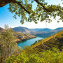 Valle del Douro In Barca da Porto a Pinhão, Colazione, Pranzo, Degustazione Vino