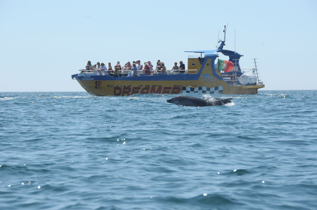 Excursión en lancha de cuevas y observación de delfines desde Albufeira