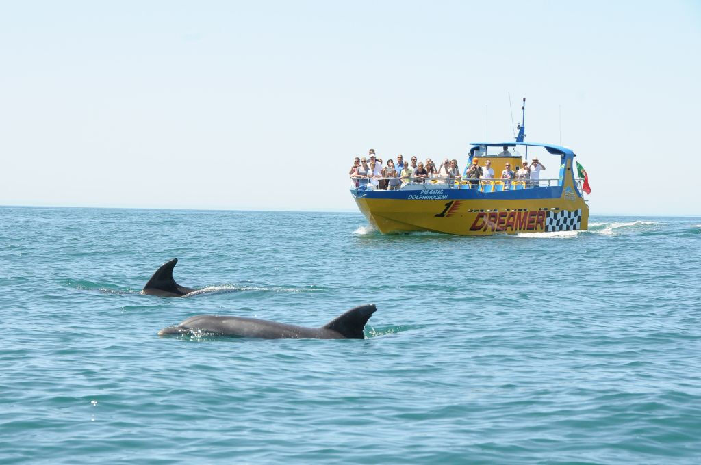 Excursión en lancha de cuevas y observación de delfines desde Albufeira