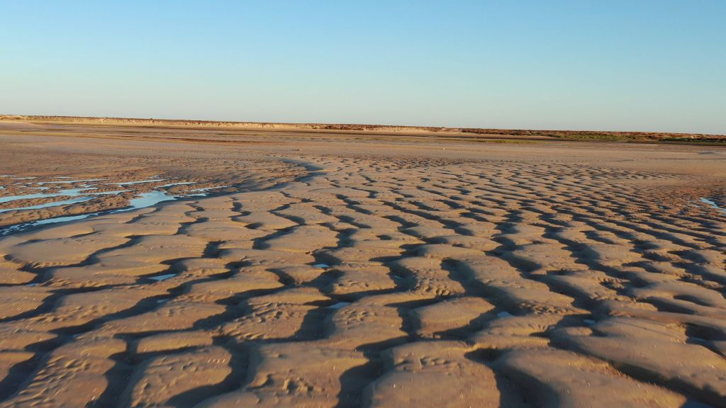 Ria Formosa: 3 Islands Boat Tour from Olhão