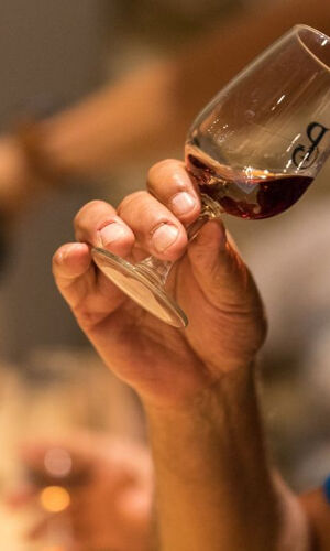 Caves Poças : Vinho do Porto & Pastel de Nata