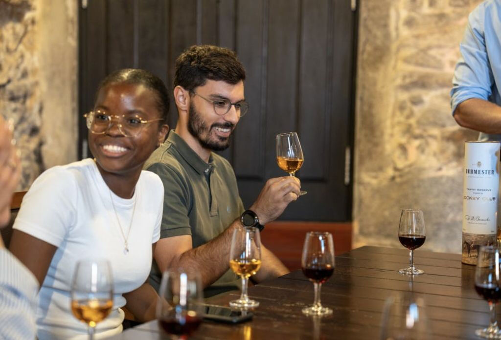 Visite de la ville de Porto en demi-journée : visite guidée avec cave à vin et dégustations