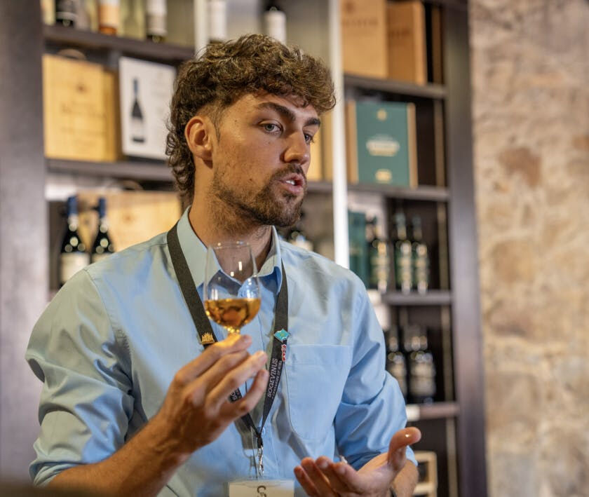 Visite de la ville de Porto en demi-journée : visite guidée avec cave à vin et dégustations