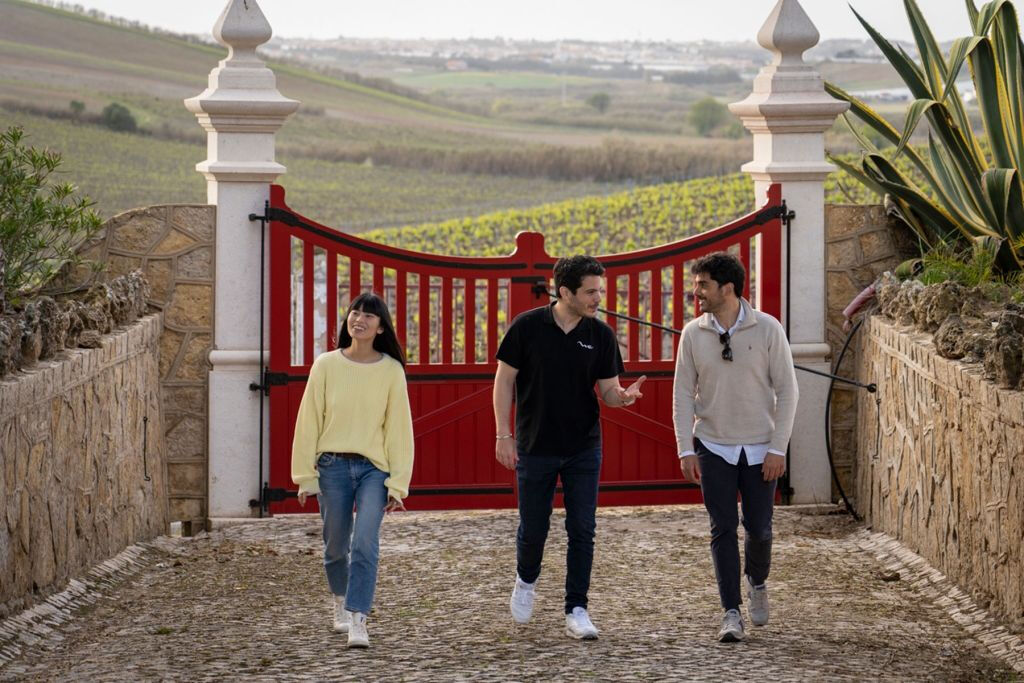 Lisbon: Guided Wine Tour & Tasting + 4WD Jeep Vineyards Experience