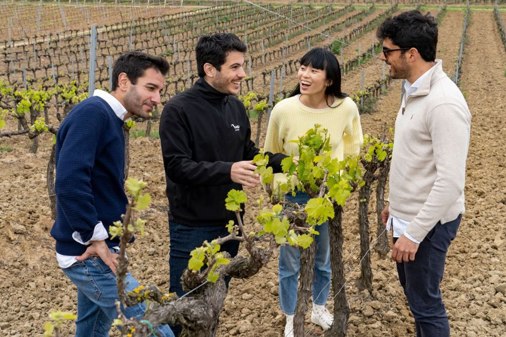 Lisbon: Guided Wine Tour & Tasting + 4WD Jeep Vineyards Experience