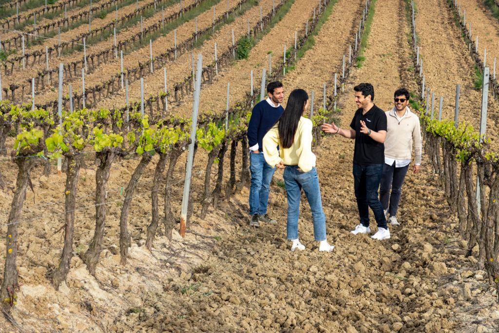 Lisbon: Guided Wine Tour & Tasting + 4WD Jeep Vineyards Experience