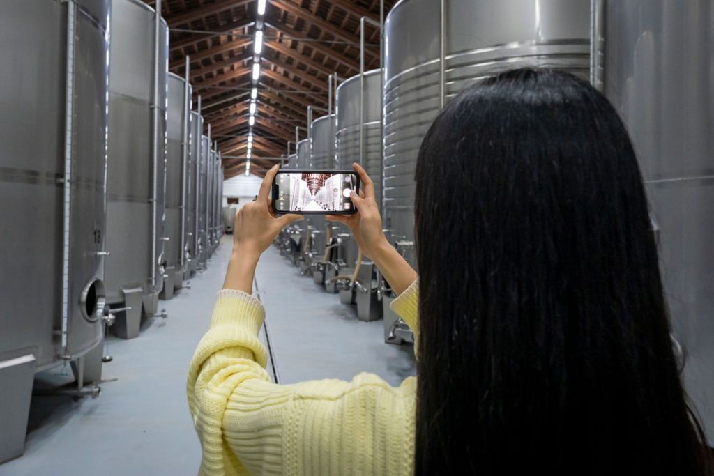 Lisbon: Guided Wine Tour & Tasting + 4WD Jeep Vineyards Experience
