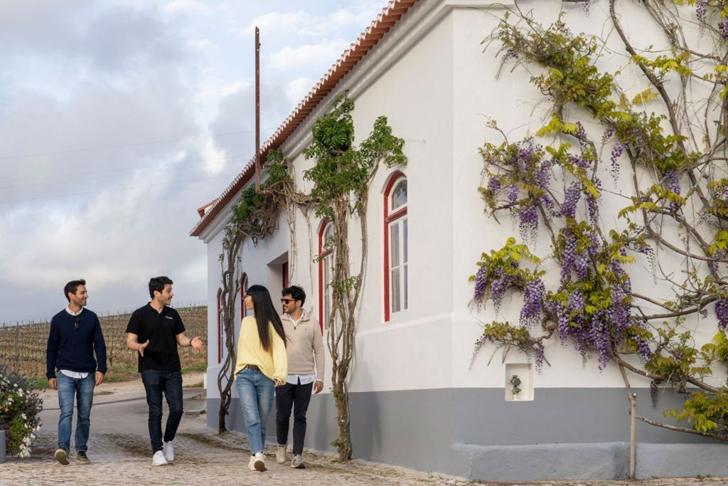 Sintra : Visite du palais de Pena et des vignobles depuis Lisbonne