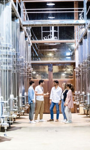 Sintra: Excursión al Palacio de la Pena y Bodegas Desde Lisboa