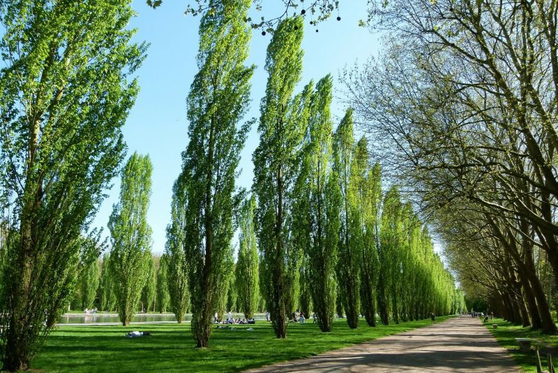 Parc Samà