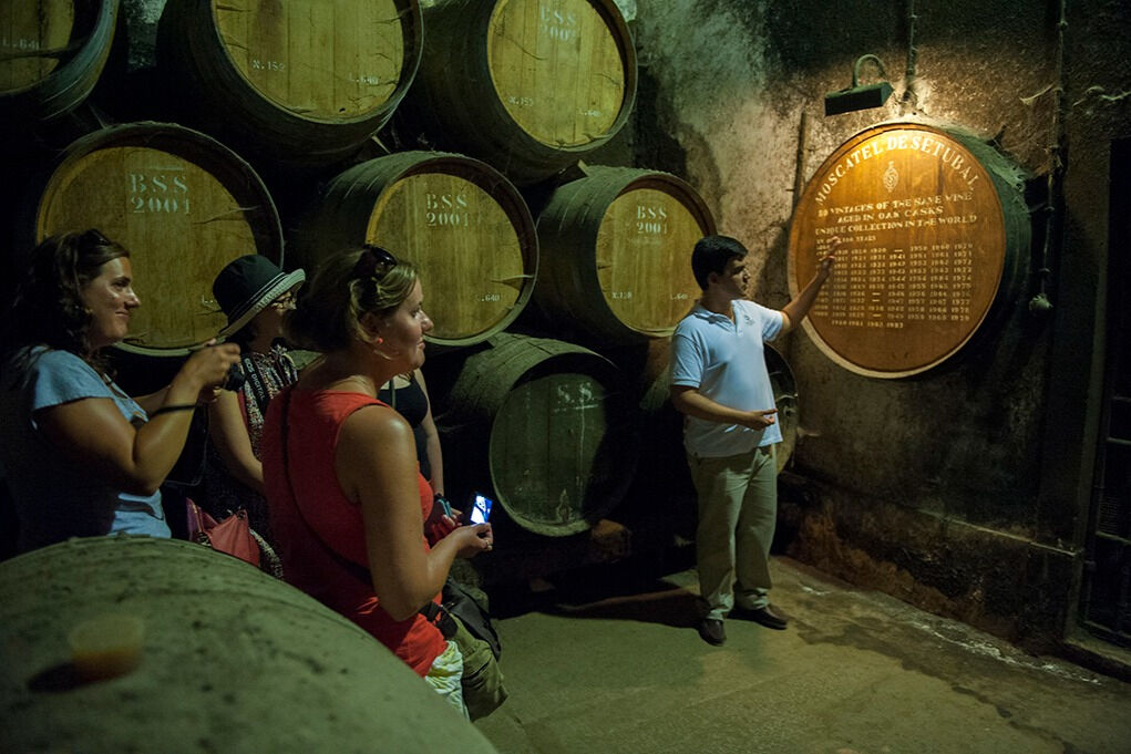 Excursión de un día a los Vinos de Arrábida desde Lisboa