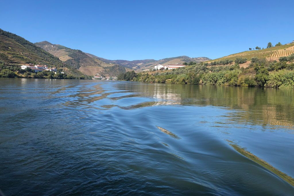 Douro Valley: Vineyard Tour, Tasting, Boat Ride + Lunch