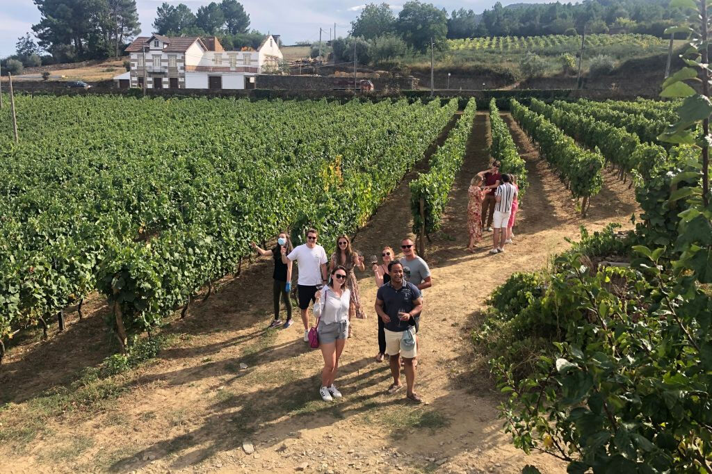 Douro Valley: Vineyard Tour, Tasting, Boat Ride + Lunch