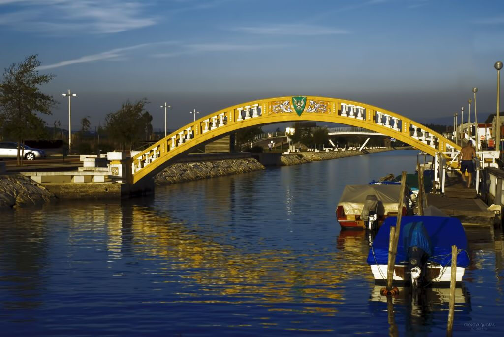 Aveiro: Tour de medio día desde Oporto con crucero