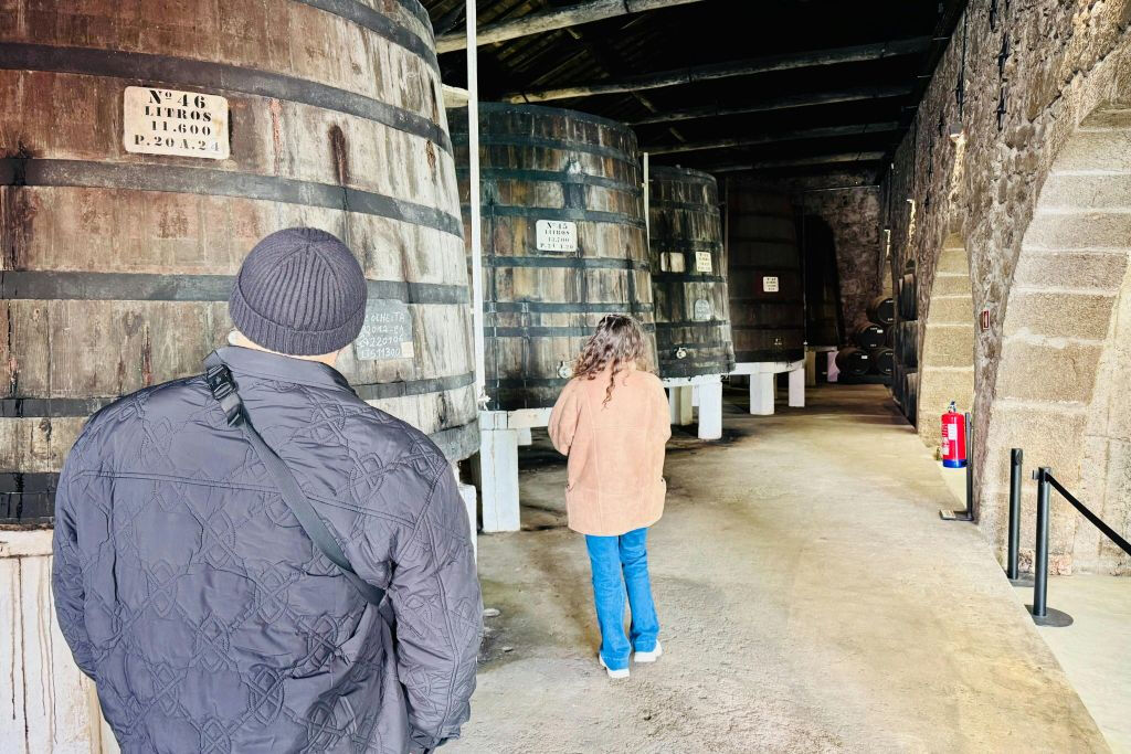 Porto e Gaia: tour a piedi delle due sponde del Douro
