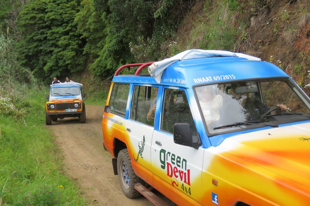 Picos de Madeira: Visita guiada