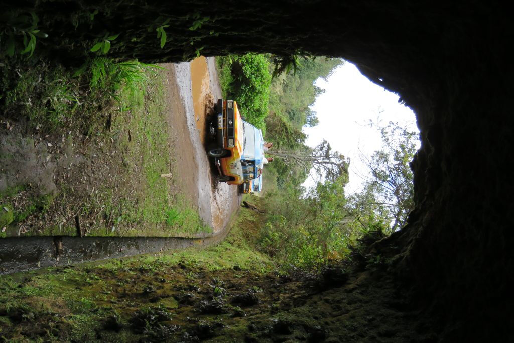 Madeira Peaks: Guided Tour