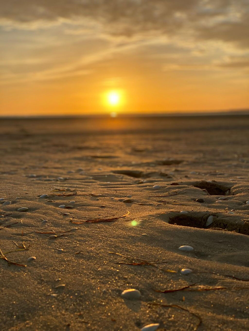 Ria Formosa and Islands: Sunset Tour from Olhao