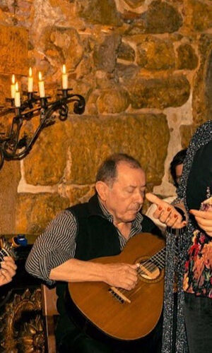 Lisboa: City Tour Noturno, Jantar e Show de Fado com Transporte
