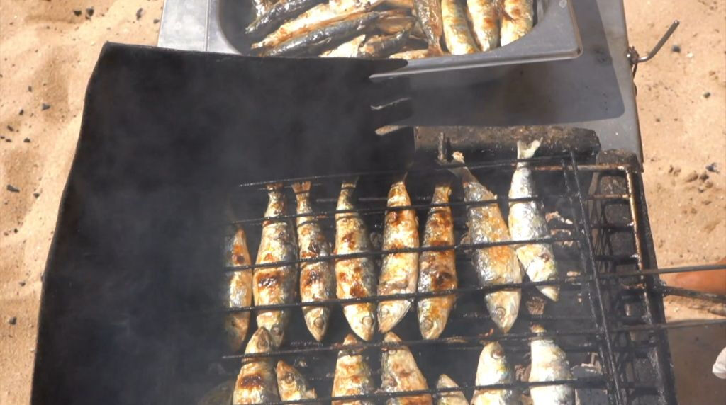 Crucero de día completo con barbacoa desde Albufeira