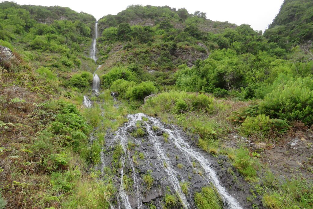 Enchanted Terraces: Guided Madeira Excursion