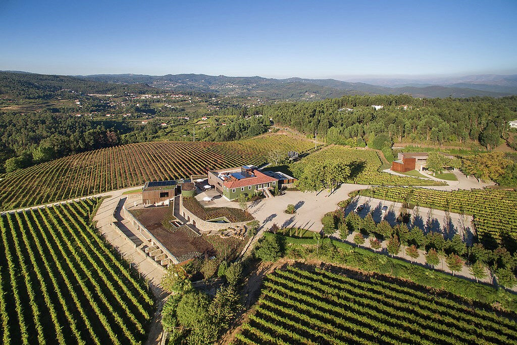 Région Vinho Verde : visite en petit groupe de Porto avec déjeuner