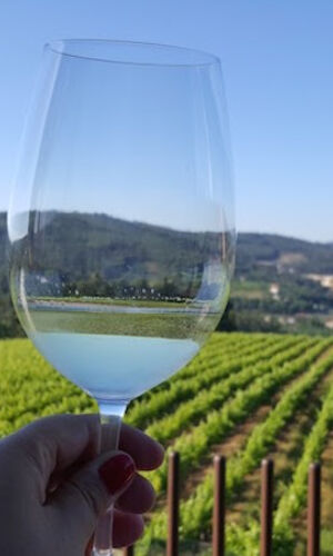 Região do Vinho Verde: tour com grupo pequeno e almoço desde o Porto