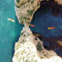 Grotte di Ponta da Piedade: Tour in kayak da Lagos