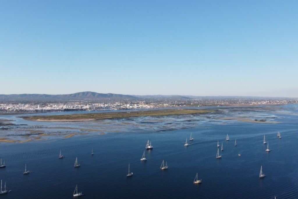 Isola di Ria Formosa: Tour in barca di 4 ore da Olhão