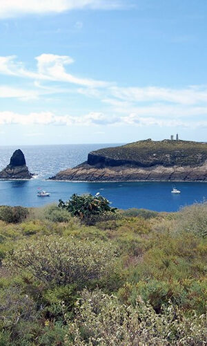 Excursión a Las Columbretes desde Alcossebre