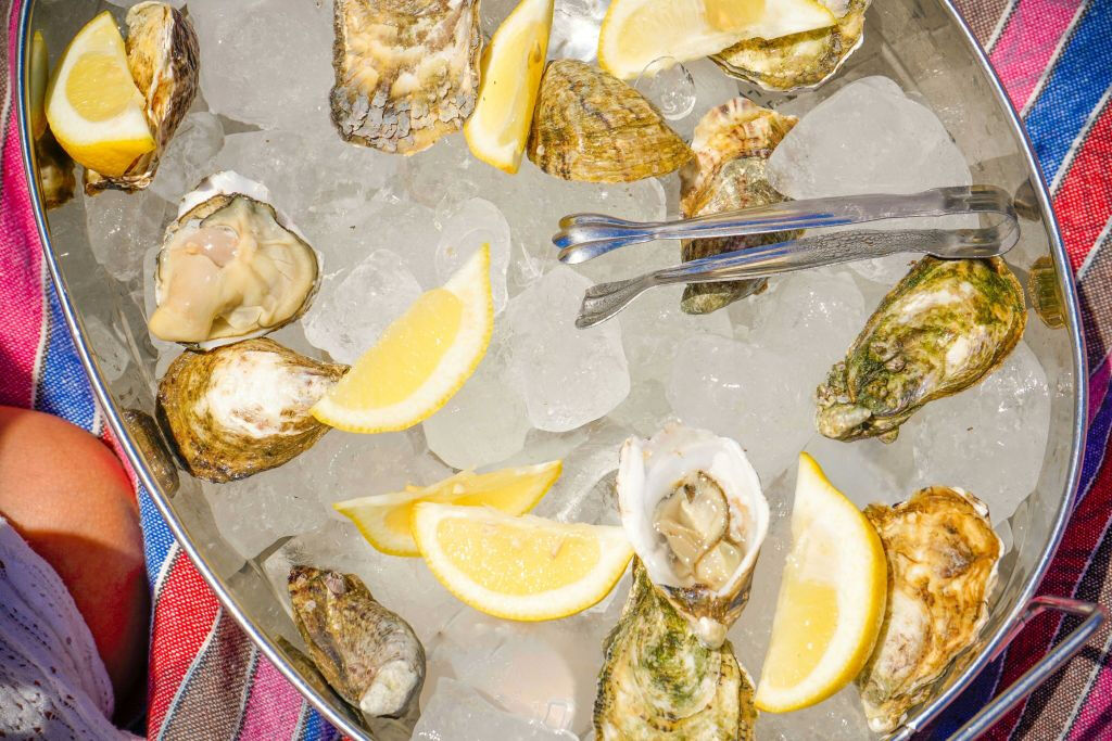 Algarve: Crociera in catamarano con ostriche e vino da Vilamoura